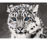 Snežný leopard 40x50cm, Art Craft - vypnuté plátno na rám