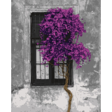 Kontrast života 40x50cm, Art Craft - vypnuté plátno na rám