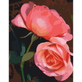 Dokonalá farebnosť 40x50cm, Art Craft - vypnuté plátno na rám